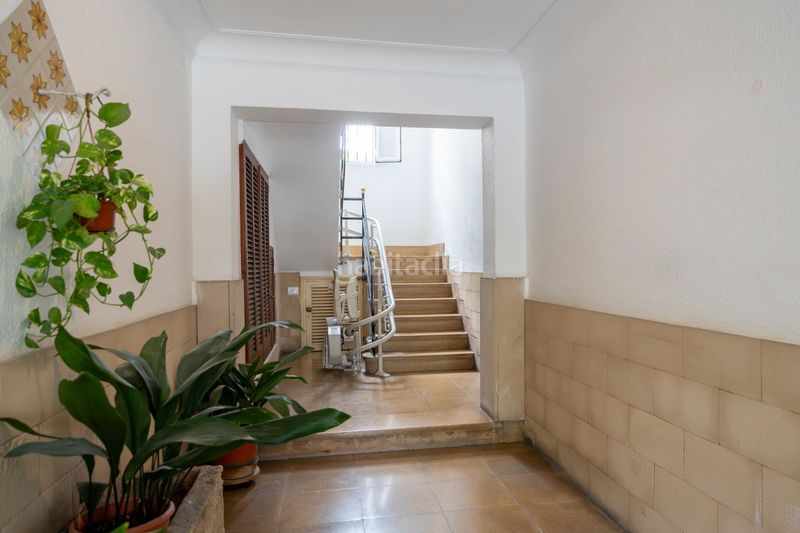 Foto 2fe4099b-fec0-4243-be77-66d9dd40574b. Pis a Son Dureta Palma de Mallorca