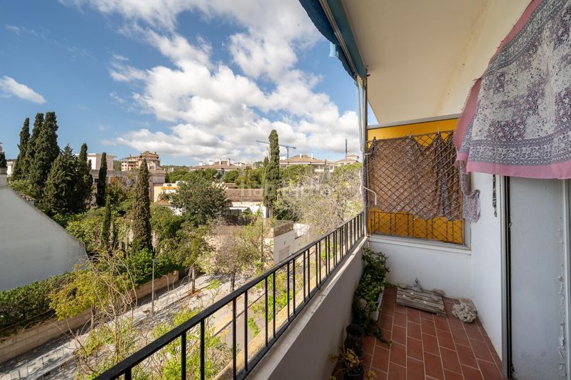 Foto 43b7503e-e689-4543-8b3f-bf7f581fa50f. Pis a Son Dureta Palma de Mallorca