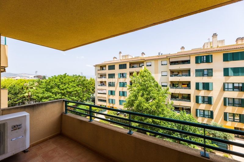 Foto e26ba596-aa5f-4d24-b59f-d837d71a86ae. Pis amb calefacció aparcament piscina a Son Cotoner Palma de Mallorca
