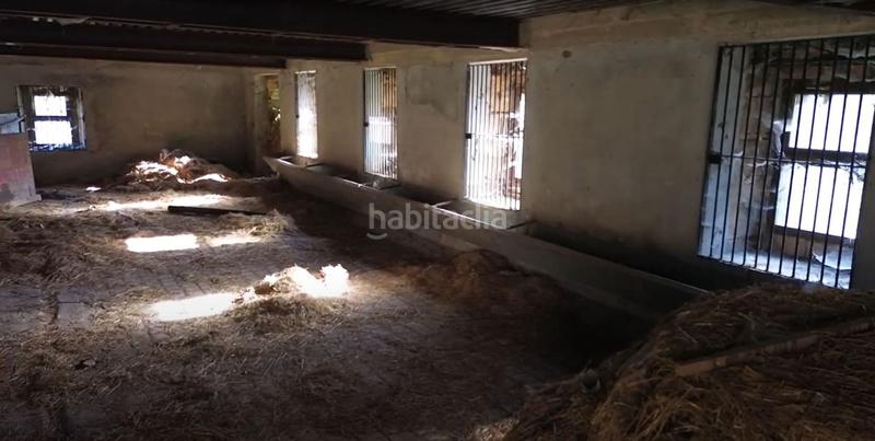 Foto afced5fa-931a-4f55-ac0e-bf6a8d15ec73. Mas dans totero diseminado 53 dans Santa María de Cayón