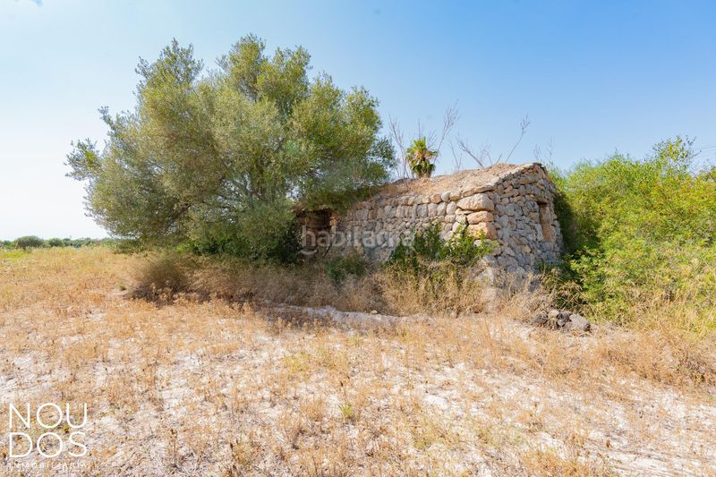 Foto 51b4806b-8b97-49f5-84fd-fffe130aa148. Terreno residenziale in Llucmajor interior Llucmajor