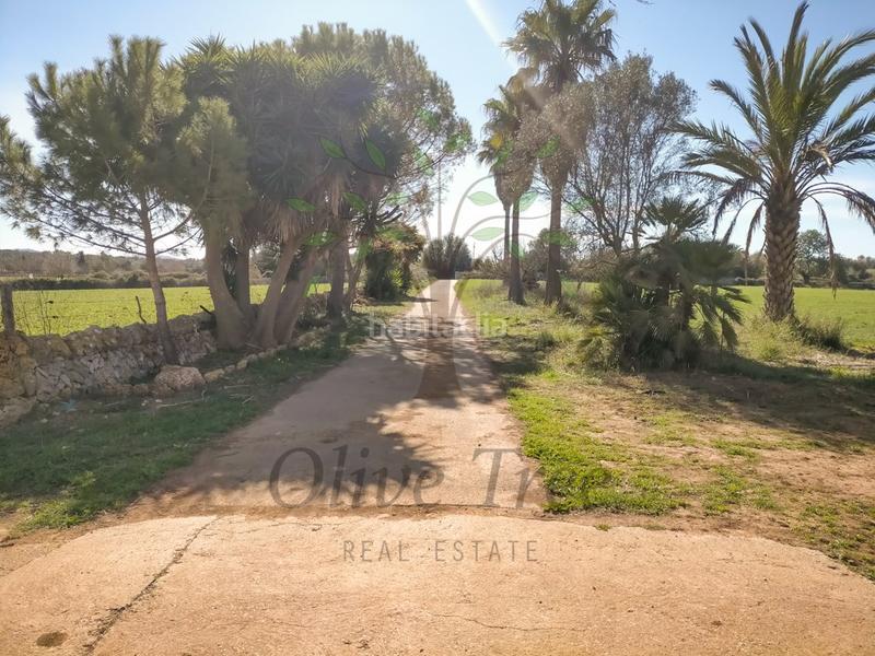 Foto 51a74f85-5ea6-4371-931f-a8e5e2cd259f. Casa con parcheggio in Felanitx poble Felanitx
