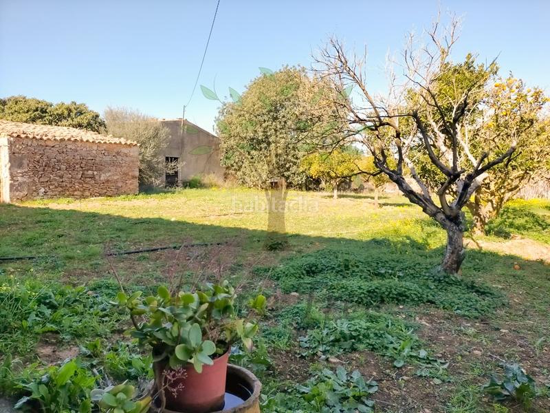 Foto a3057f85-23bb-4b68-8b7b-5cebee2e0910. Casa con parcheggio in Felanitx poble Felanitx