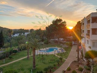 Lloguer Apartament  Calle los gladiolos. Apartamento reformado en valverde disponible en alquiler 6meses