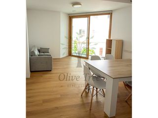 Miete Appartement  Calle carles roman ferrer. Apartamento de nueva construcción alquiler con parking zona vive