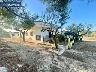 Chalet en Godelleta. Chalet independiente de 3.529 m2 de parcela situado en zona el g