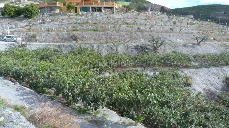 Foto 69649a60-6729-424f-a318-d5e9077cc425. Terrain résidentiel dans Ítrabo