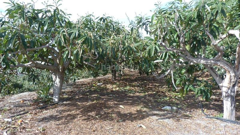 Foto 7cafcd8e-f94a-4fc7-b534-03fc18342ce7. Terrain résidentiel dans Ítrabo