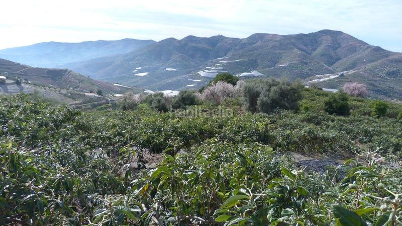 Foto c83b88b7-ab3d-407c-a2c0-f69555a78639. Terrain résidentiel dans Ítrabo