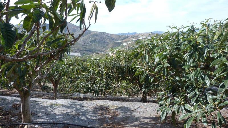 Foto d7f098ea-22ec-40a8-8e9a-8618d90a4438. Terrain résidentiel dans Ítrabo