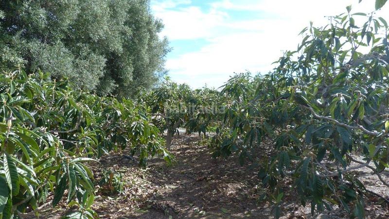 Foto f5099377-f8dc-4989-b08c-727e1a86fd30. Terrain résidentiel dans Ítrabo