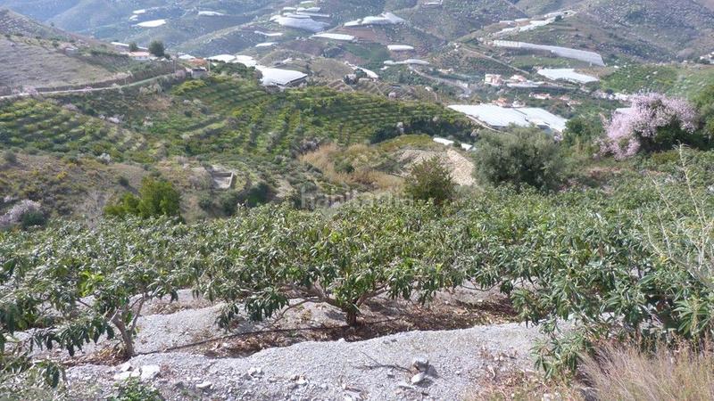 Foto f6797972-fcd7-462f-a873-7f8aa83d5c4d. Terrain résidentiel dans Ítrabo