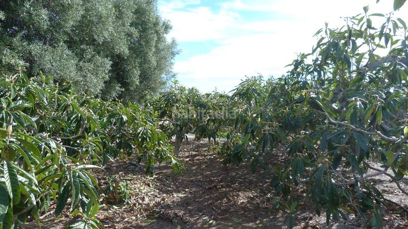 Foto d25c8dc0-9daf-4e1a-a011-0fd2d94a5cd2. Terreny residencial a Ítrabo