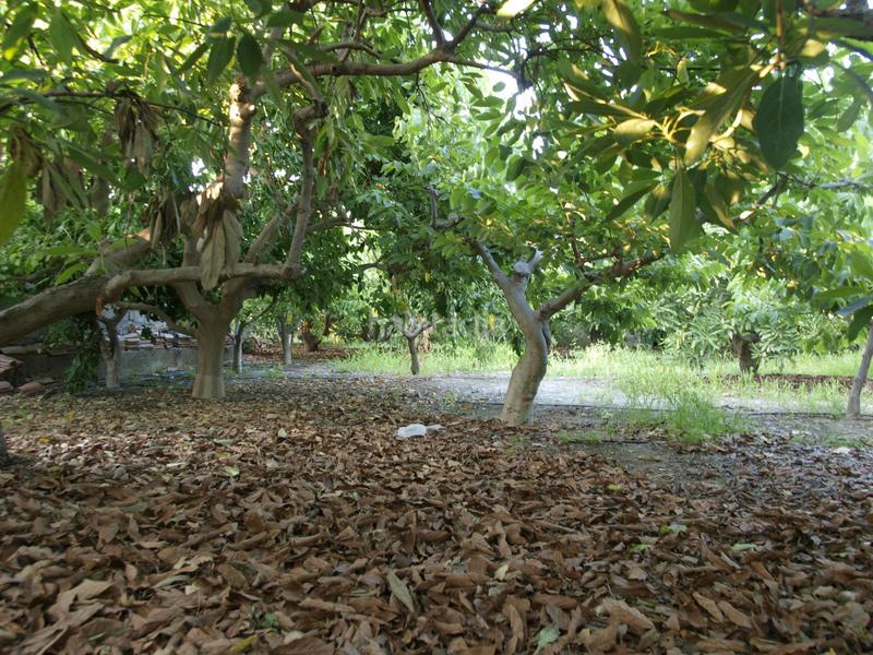 Foto 34e41b45-0814-4d08-91bb-cff9d39d9cc1. Bauernhof mit pool in Los Tablones - La Garnatilla Motril