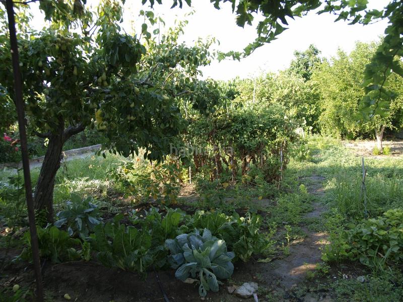 Foto 694a3c71-5716-4bdf-9870-aeb633e0975b. Bauernhof mit pool in Los Tablones - La Garnatilla Motril