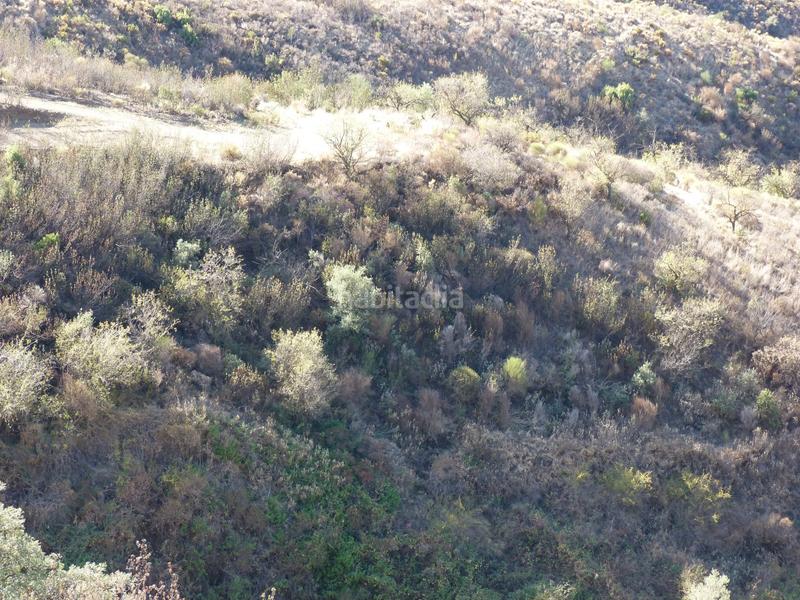 Foto 069bbab3-4050-495c-9ab1-e6fb42bfd085. Terrain résidentiel dans Ítrabo