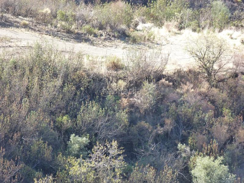 Foto 6f4eaa5b-2071-4831-b939-d8bebe706c90. Terrain résidentiel dans Ítrabo