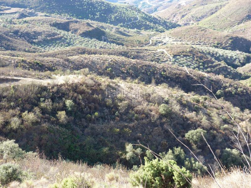 Foto 71e26724-2e90-4529-b037-091ef9f03bba. Terrain résidentiel dans Ítrabo