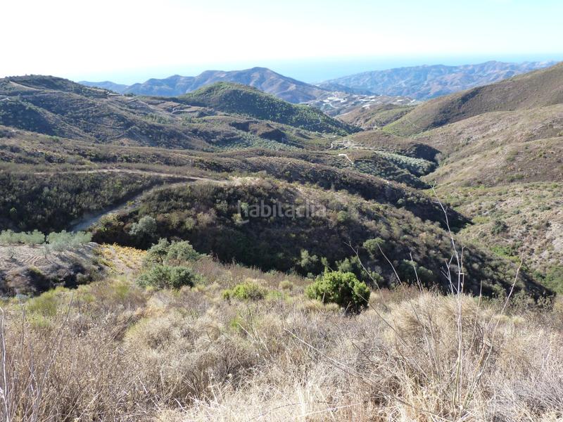 Foto aebd8dae-38c9-4659-b318-1a269884f534. Terrain résidentiel dans Ítrabo