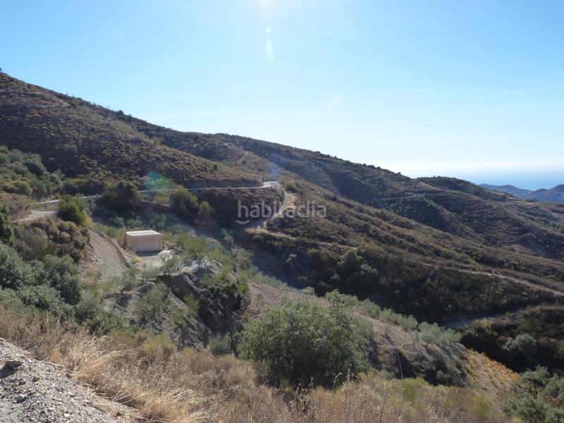 Foto f36413d6-bde9-40bd-a74b-c16d88139925. Terrain résidentiel dans Ítrabo