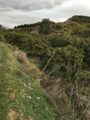 Finca rústica a Molvízar. Se vende finca en la zona de los palmares t.m de salobreña de on