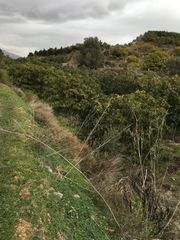 Terreno residencial en Molvízar. Se vende finca en la zona de los palmares t.m de salobreña de on