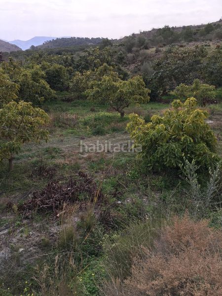 Foto 4c6959ce-deef-43fa-a125-50906d20196b. Terreny residencial a Molvízar