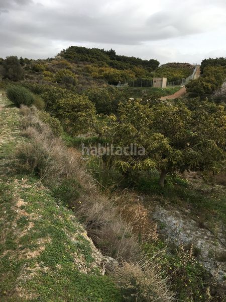 Foto 503c5376-c3ed-4970-b08c-f960edcc1244. Terreny residencial a Molvízar