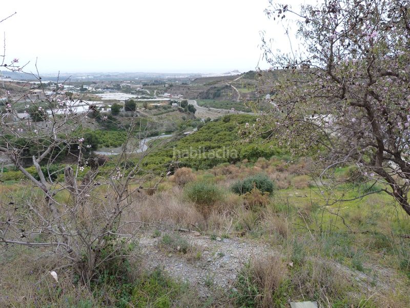 Foto 718dd489-9030-4c6a-bfc1-c74be9d972c9. Terreny residencial a Centro Salobreña