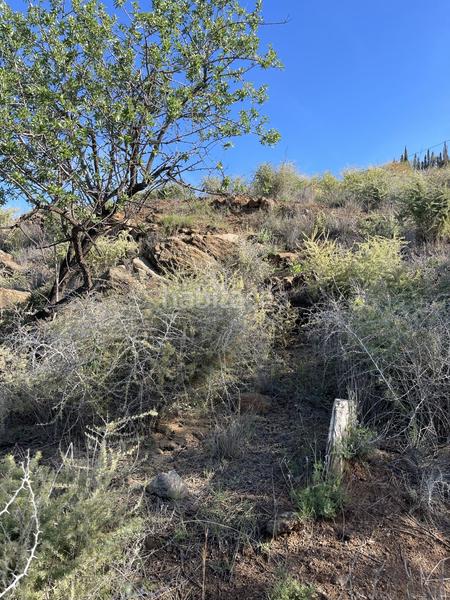 Foto 4d26a697-510d-4657-bd4f-521b11b48278. Terrain résidentiel dans Ítrabo