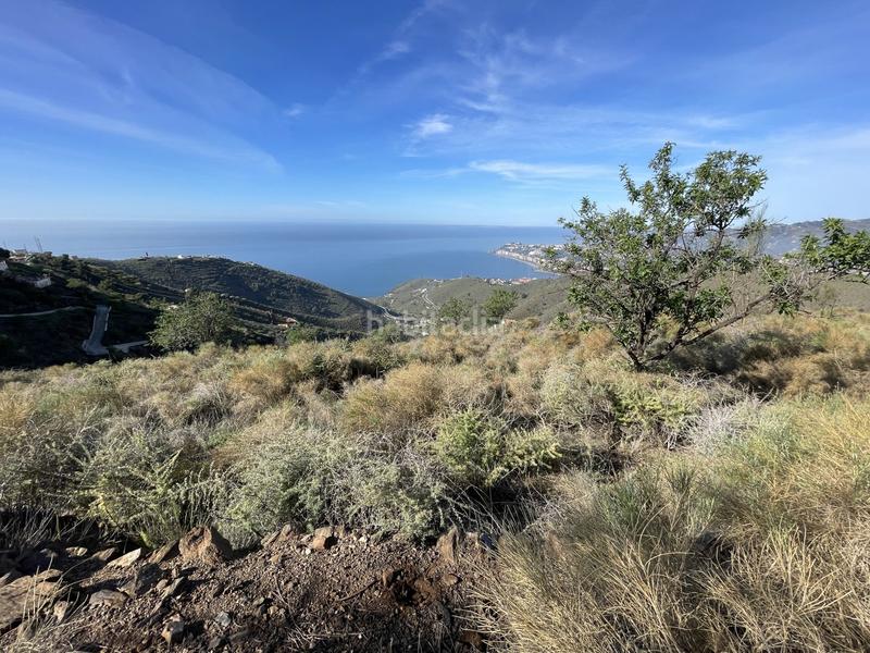 Foto 65da69d4-0d61-49c5-940a-6df4c50c704d. Terrain résidentiel dans Ítrabo