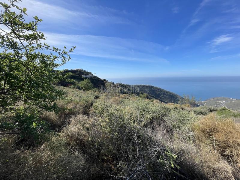 Foto 77bb041a-cf18-4fb6-afab-e281060a0b71. Terrain résidentiel dans Ítrabo