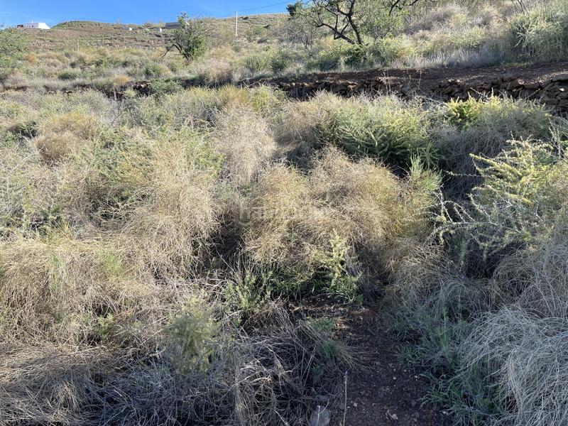 Foto ac0a1faa-5d95-48bc-a071-8d56598b5ee1. Terrain résidentiel dans Ítrabo