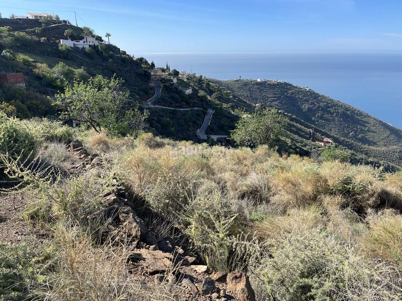 Foto f558a840-8818-452b-9b8e-407d07438361. Terrain résidentiel dans Ítrabo