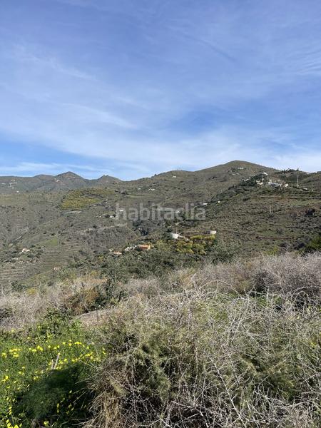 Foto de5377cb-3921-4fd3-8c36-6b7702c0328d. Terreny residencial a Ítrabo