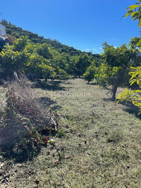 Foto b74b2083-9c54-4e9a-b108-63fd8b980462. Mas dans El Rescate - Río Seco Almuñécar