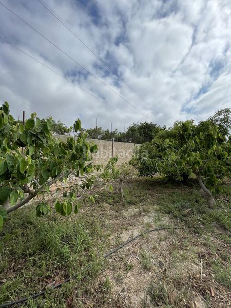 Foto 2aedcce1-31f8-4ec5-8fc0-ce5e13de1931. Mas dans Centro Salobreña