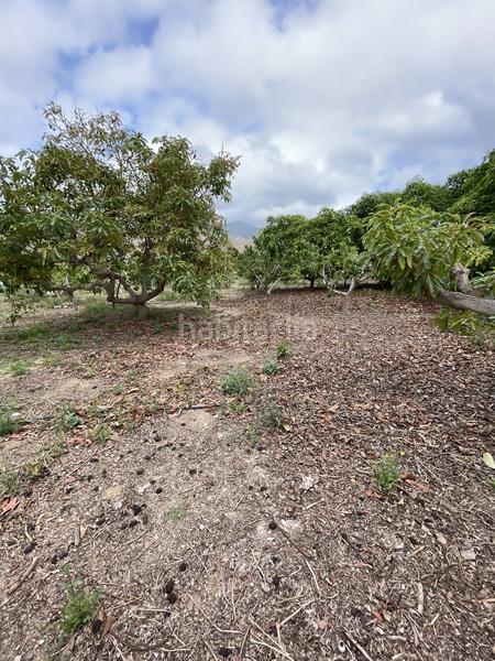 Foto 2ff19d85-3c11-4b06-8d42-64f60b724ea7. Mas dans Centro Salobreña