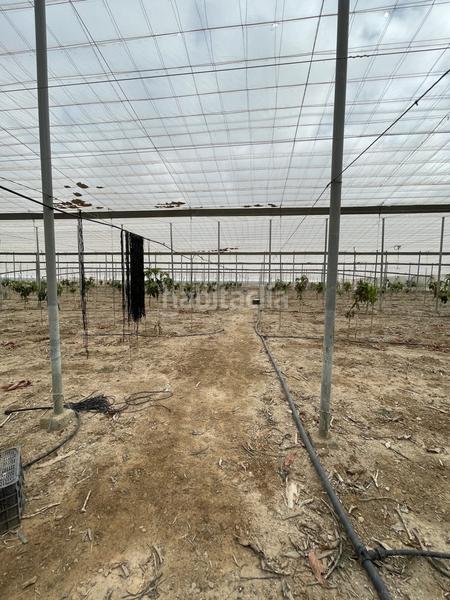 Foto 5fd32bbe-b863-4fea-ae8f-ececf3edbf04. Mas dans Centro Salobreña