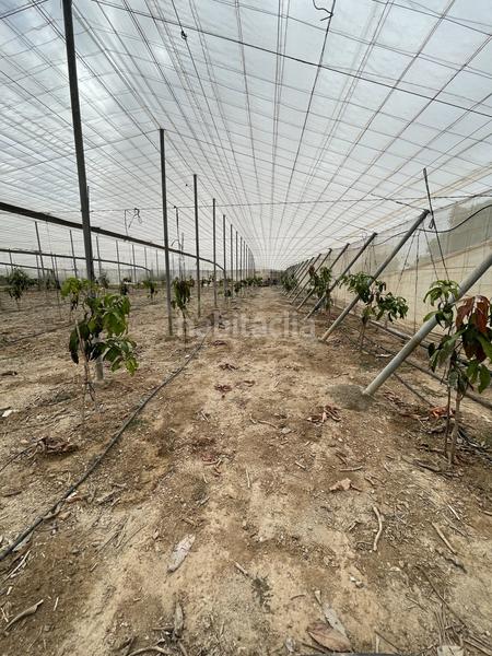 Foto 61415b1d-2c05-4eb5-9500-2822391b1209. Mas dans Centro Salobreña