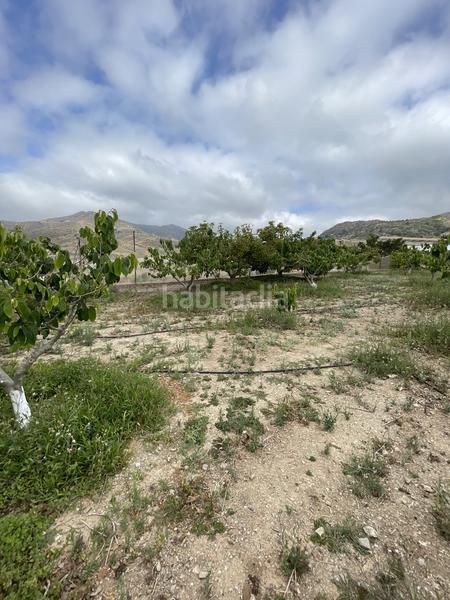 Foto 628116d0-4526-4c68-8bd9-ec4a77615008. Mas dans Centro Salobreña