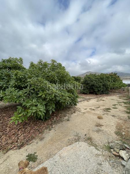 Foto 75602237-ef2b-42ce-8019-e40430235bb9. Mas dans Centro Salobreña