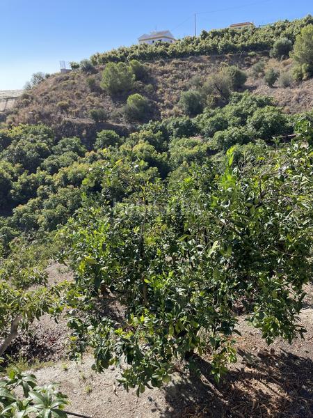 Foto 1c10dd5b-9af3-4f46-8d2c-4e56e39b9efb. Mas avec parking dans Centro Salobreña