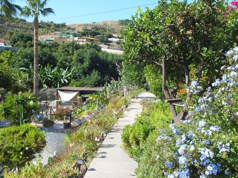 Foto 4fd97d4d-0edb-4431-8511-7dc339c9eead. Xalet amb aparcament a Centro Salobreña