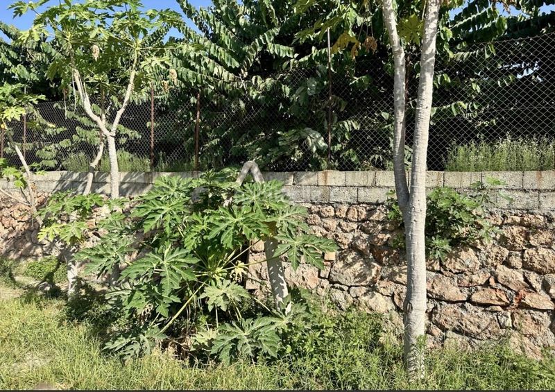 Foto 71838bcf-7749-4a12-a8b2-57770c2565d2. Terreny residencial a Centro Salobreña