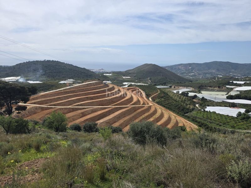 Foto 37fa5e8c-09bd-4a10-9563-b863b32389f9. Terreny residencial a Centro Salobreña