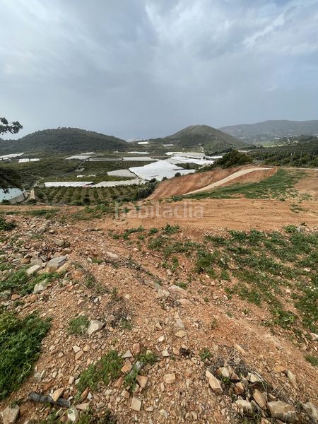 Foto 66ace7cb-ddb9-4f26-ad57-a73179263b09. Terreny residencial a Centro Salobreña