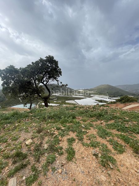 Foto 6733082a-048b-42be-b240-33394305ef67. Terreny residencial a Centro Salobreña