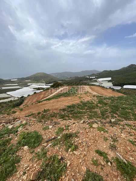 Foto 689f47fe-d170-4015-a4d7-03a1b3446842. Terreny residencial a Centro Salobreña