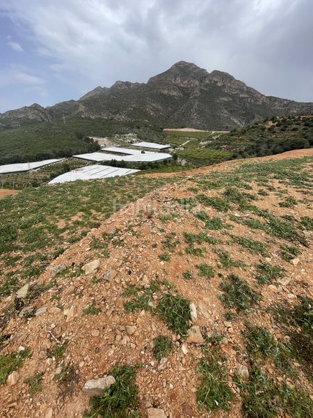 Foto 6c08c842-a981-4375-a224-29b04eee93e9. Terreny residencial a Centro Salobreña